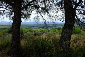 paysages du minervois