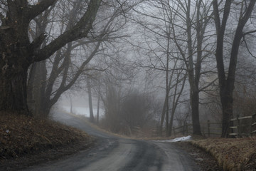 Cold Misty Morning