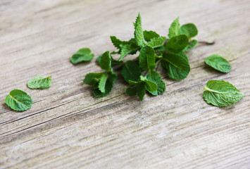 Fresh green mint as a border