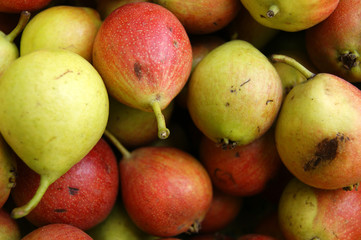 Background from ripe fruit pear.Ripe fruits pear harvest
