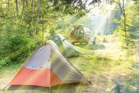 Cozy camping on green sunny lawn with tent and a car