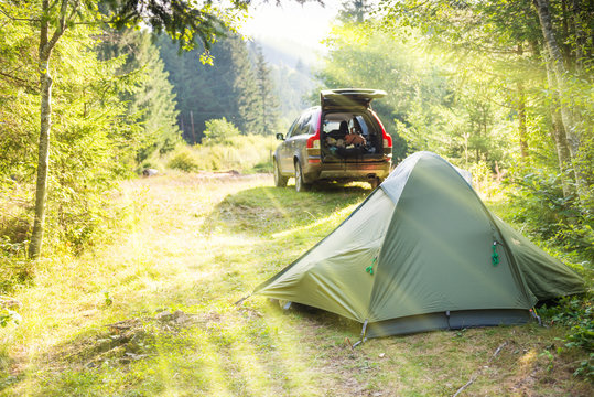 Cozy camping on green sunny lawn with tent and a car
