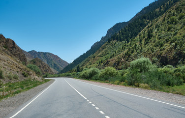 Naklejka premium Road near Issyk-Kul lake,
