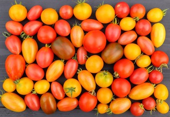 Tomatoes.
