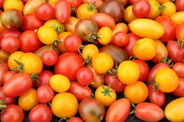 Tomatoes.
