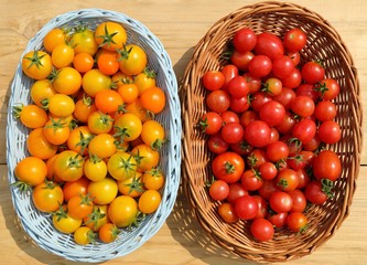 Tomatoes.