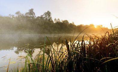 Fog on the river at sunrise.