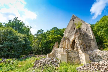 Afwasbaar behang Rudnes Ruïnes van kerk en klooster