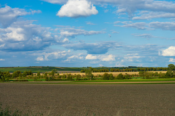 fields and vineyards in rheinhessen, germany