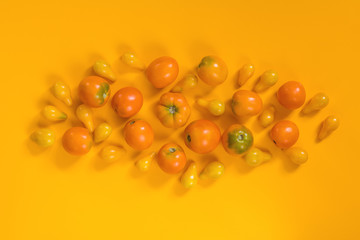 Many different red orange yellow tomatoes on yellow surface.