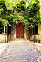 A tree that borns inside a house