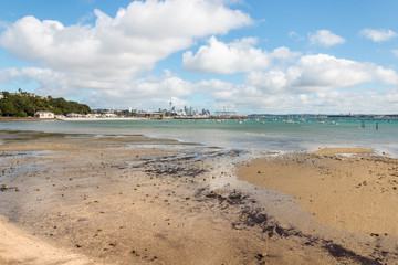 sandy beach in Hobson Bay in Auckland, New Zealand