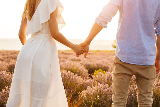 Cropped image from back of romantic couple man and woman holding hands, while walking outdoor in lavender field