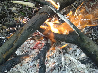  flame
