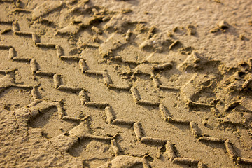 trace from a wheel