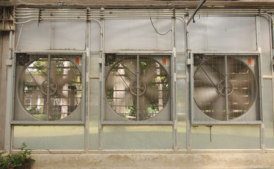 Greenhouse Exhaust Fans