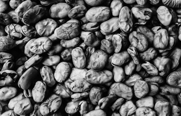 Dry beans seeds lying on rustic plate. Ecological green photo. Healthy vegetarian food. Vegan photo.