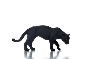 Black panther portrait  white background
