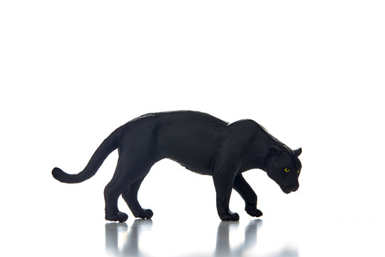 Black Panther Portrait  White Background