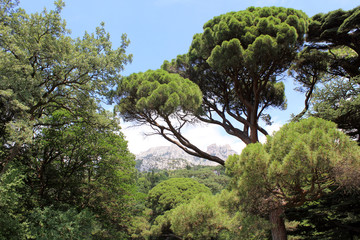 Воронцовский парк