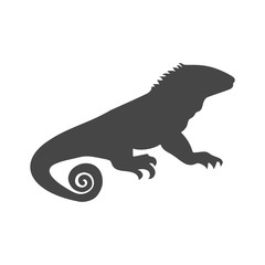 Obraz na płótnie Canvas Chameleon icon, Simple Vector Chameleon logo