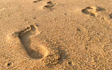 Footprint on the sand beach in the sunset time