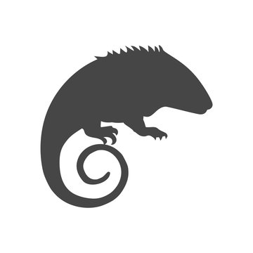 recommend clip art: Chameleon icon, Simple Vector Chameleon logo