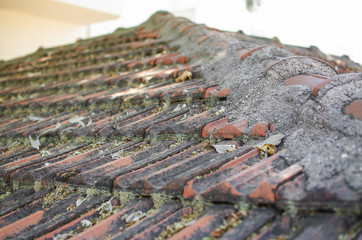 old clay tile roof
