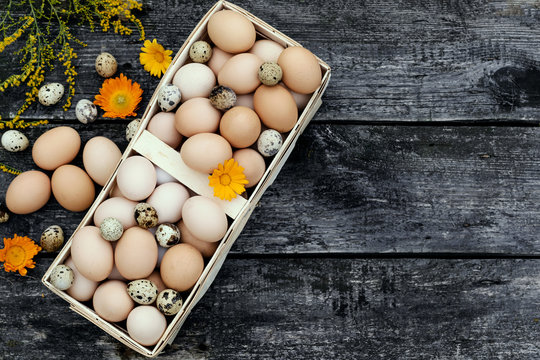 Chicken eggs and quail eggs in basket on wooden background. Free space for text.