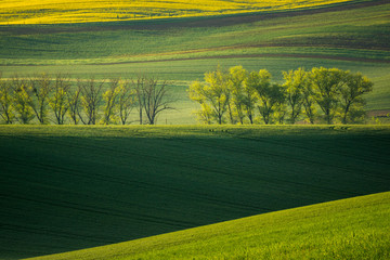 Moravian fields near Sardice, Hodonin, Czech Republic