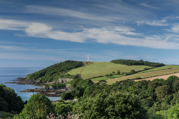 Summers Day, Gribbin Head, Cornwall