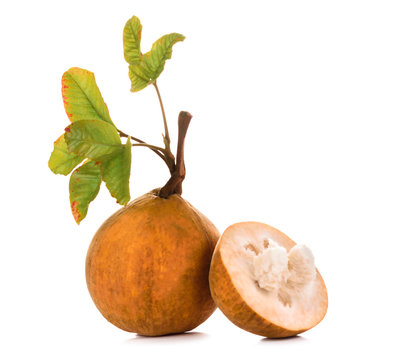 Santol fruit isolated on white background