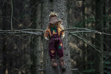 Scarecrow in a tree in a shadowed forest