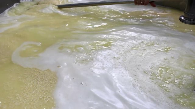 Making cheese in the milk factory / Worker at the dairy makes cheese in containers of stainless steel