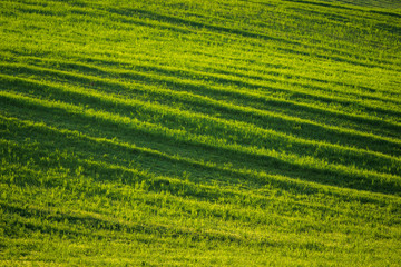 Moravian fields near Sardice, Hodonin, Czech Republic