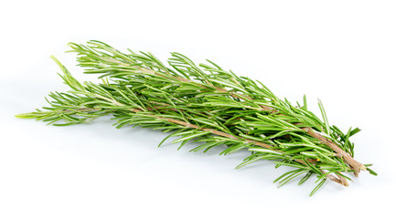 Fresh branch of rosemary herb isolated on white background