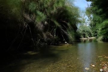 Fototapeta na wymiar Rivière près de La Redorte en occitanie