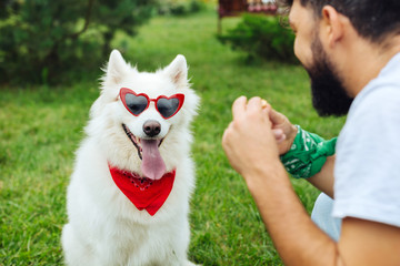 Laughing man. Bearded dark-haired man laughing out loud looking at husky wearing sunglasses and...