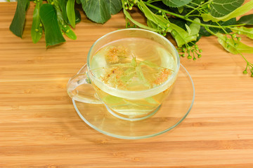 Linden tea in glass cup against of fresh linden branches