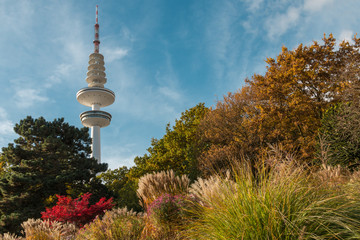 Herbstlicher Park mit Fernsehturm im Hintergrund, Heinrich-Hertz-Turm © sweasy