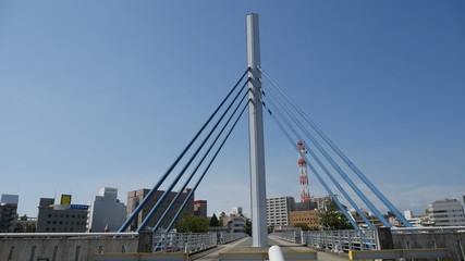 あゆみ橋・沼津市