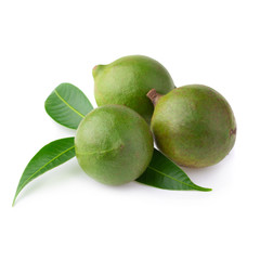 Macadamia nuts isolated on a white background