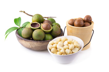 Macadamia nuts isolated on a white background
