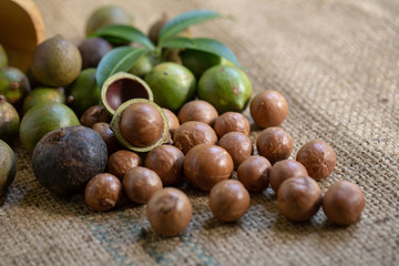 Macadamia nuts on sacks in natural light