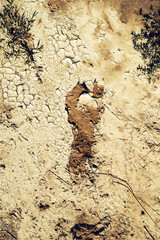 Shoeprint or foot print on mudcrack surface