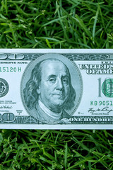 American dollars in the grass