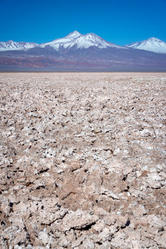 Atacama salar,  snowy Andes mountain range in the background, Chile