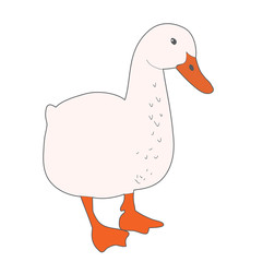 isolated goose on white background