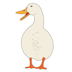 vector, isolated goose on white background
