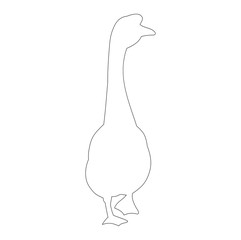 goose outline on white background